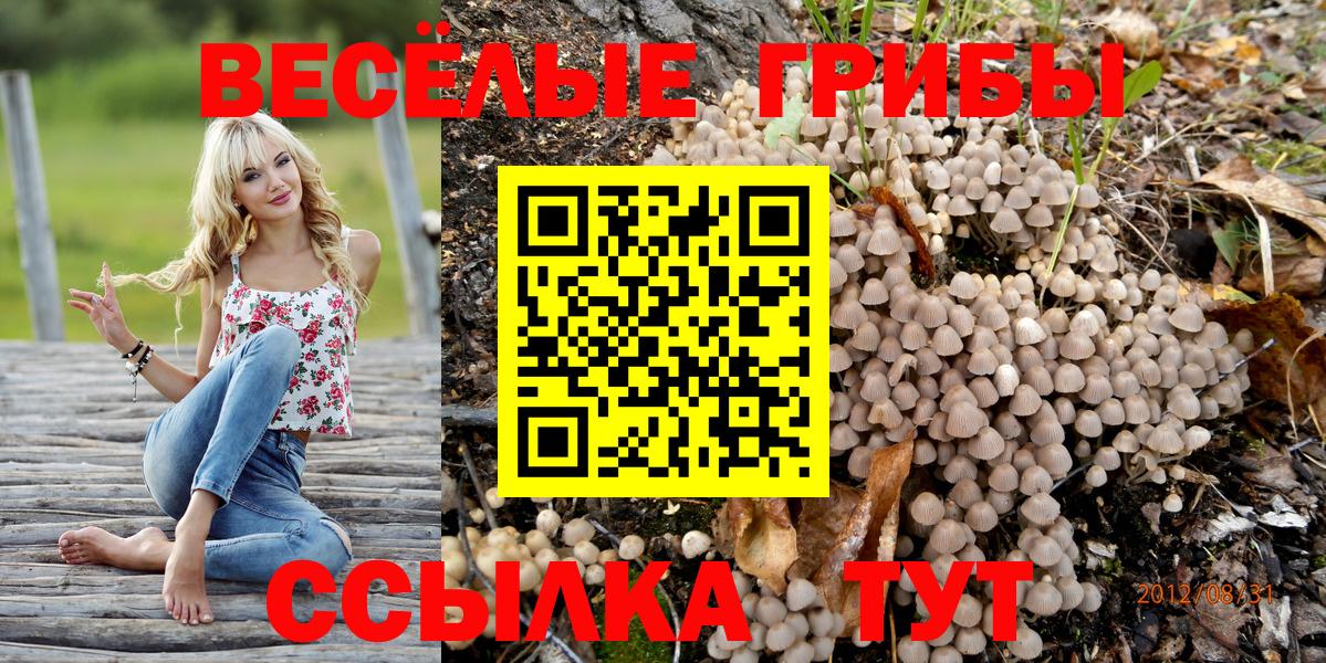 Галлюциногенные грибы GOLDEN TEACHER Черняховск