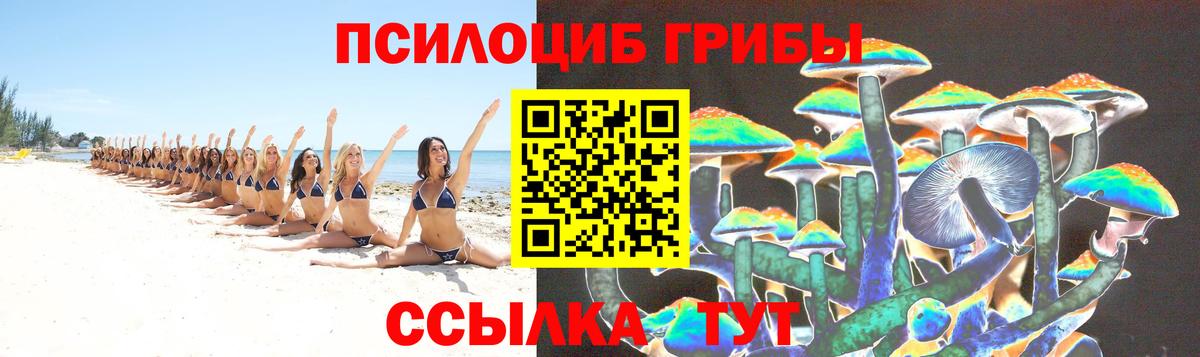 Черняховск  Галлюциногенные грибы ЛСД  Псилоцибиновые грибы мухоморы  Вход с VPN 